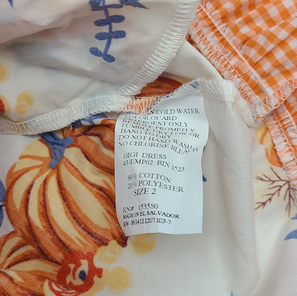 Eleanor Rose pumpkin dress size 2
